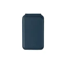 Flash wallet-deepblue